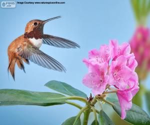 пазл Мужской Охристый колибри и цветов